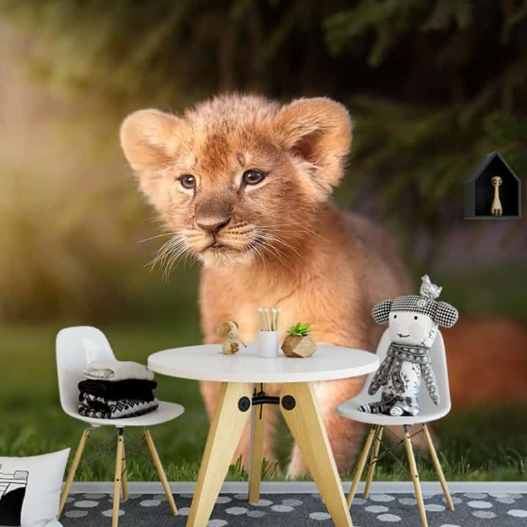 fotobehang leeuwtje in het gras