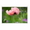 tuinposter wilde roze bloem