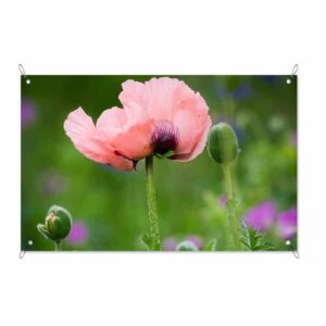 tuinposter wilde roze bloem