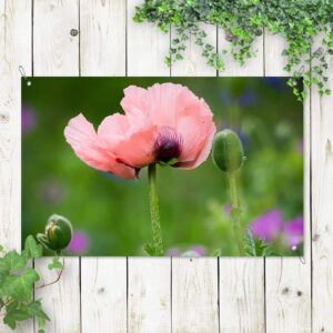 tuinposter wilde roze bloem