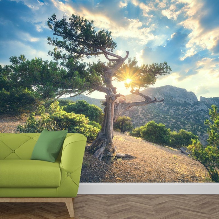 fotobehang oude boom in de zon