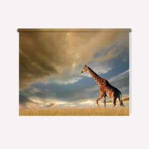 rolgordijn eenzame giraf
