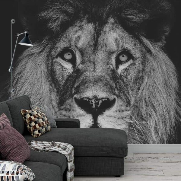 fotobehang leeuwenkop zwartwit