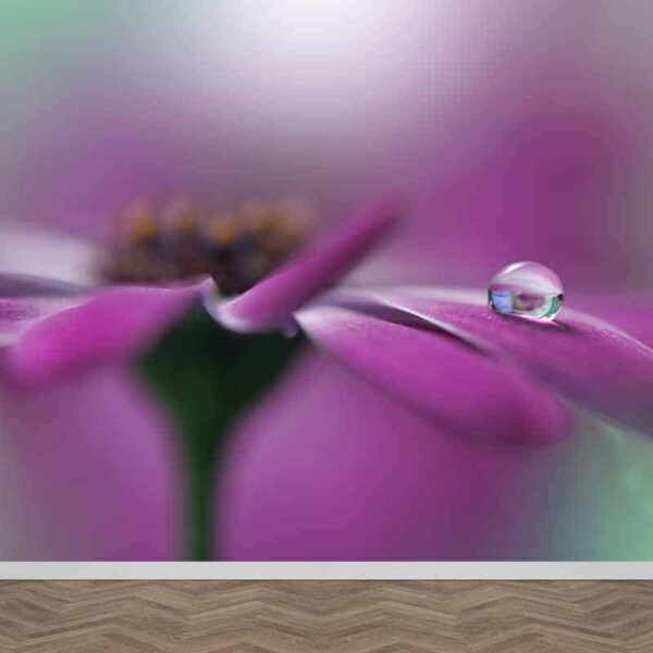 fotobehang paarse bloem en druppel