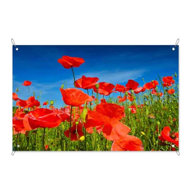 tuinposter klaprozen in het veld