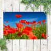tuinposter klaprozen in het veld