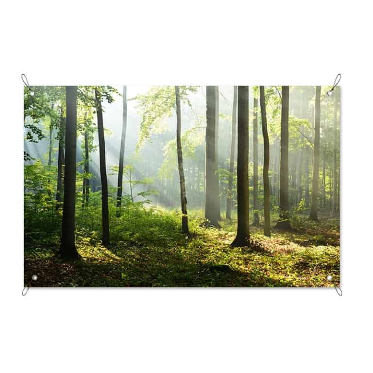 tuinposter zonsopgang in bos