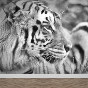 fotobehang tijger close up zwart wit