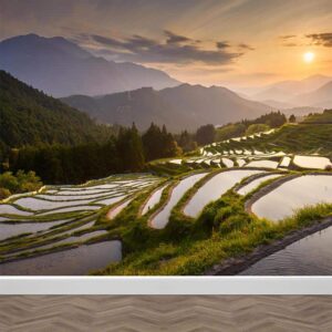 fotobehang Aziatische rijstvelden