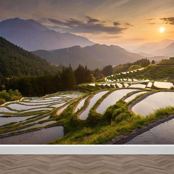 fotobehang Aziatische rijstvelden