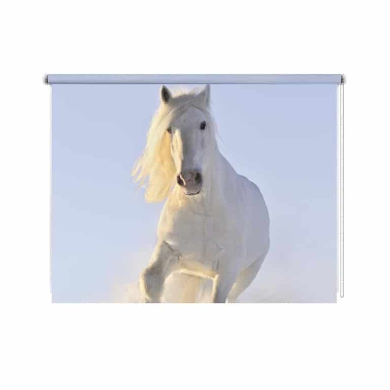 rolgordijn paard in sneeuw 1