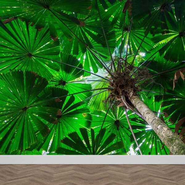 fotobehang palmbomen close up