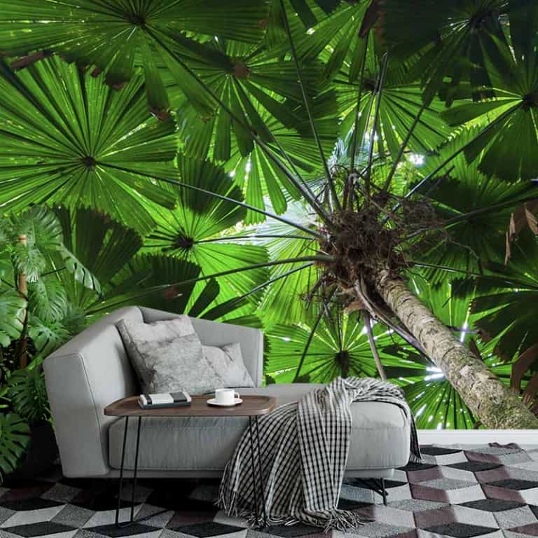 fotobehang palmbomen close up