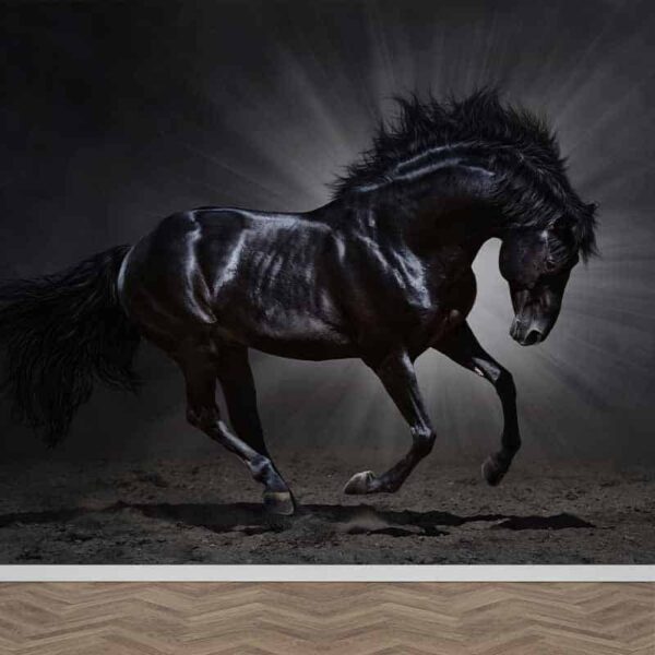 Fotobehang Zwart paard