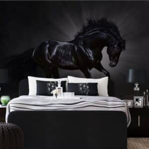 fotobehang paard- paarden behang - fotobehang - behang