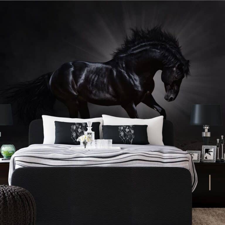 fotobehang paard- paarden behang - fotobehang - behang