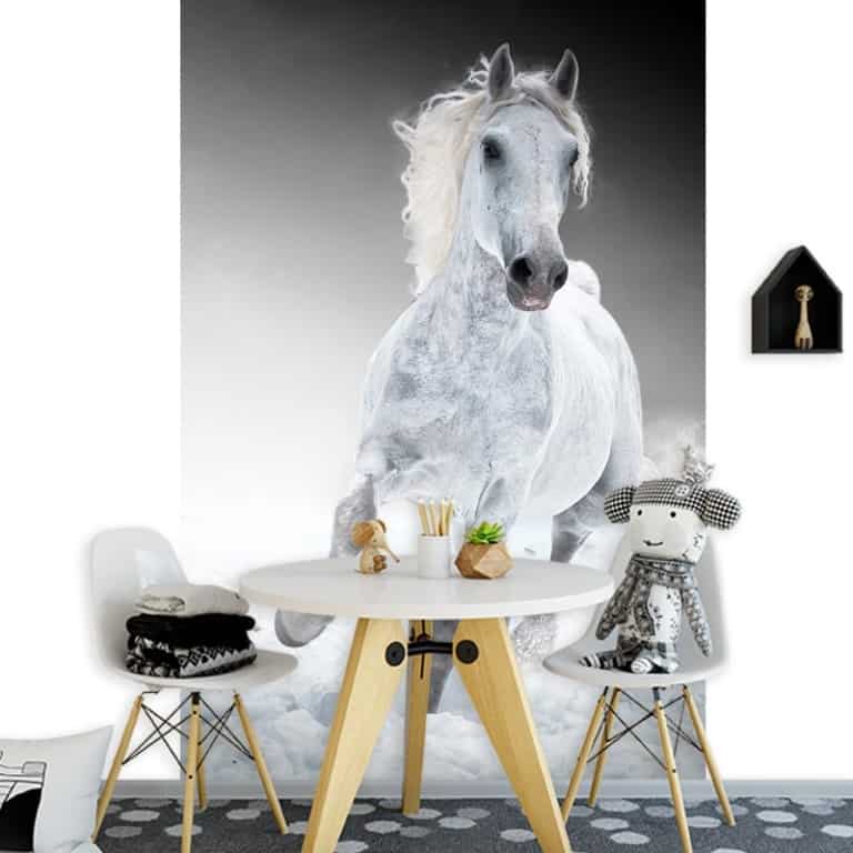 fotobehang rennend paard wit