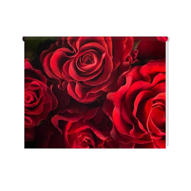 rolgordijn rode rozen