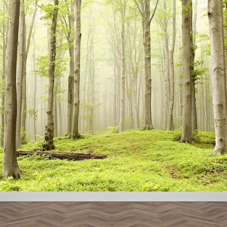 Livingwalls