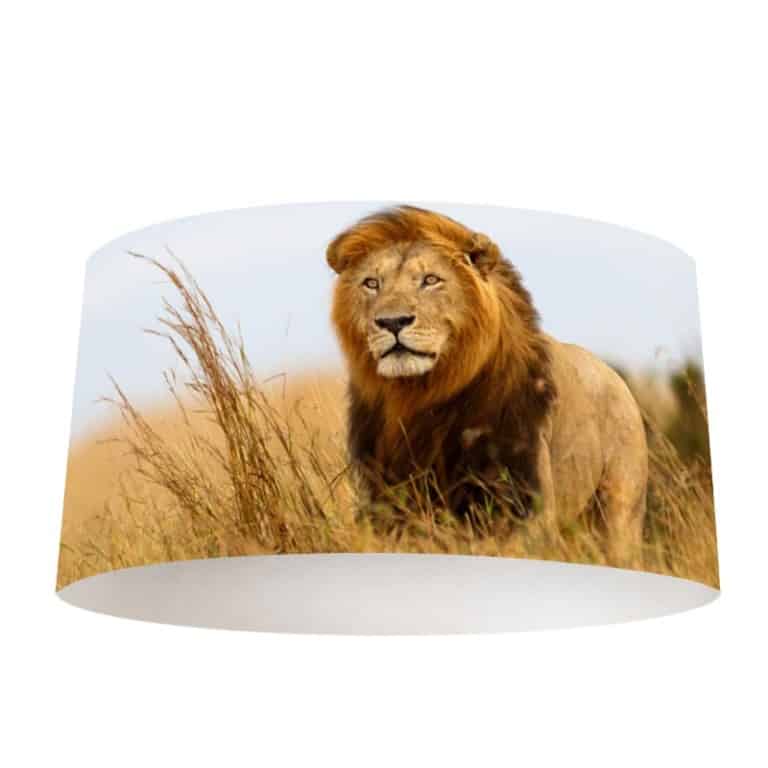 Lampenkap Leeuw in Afrika