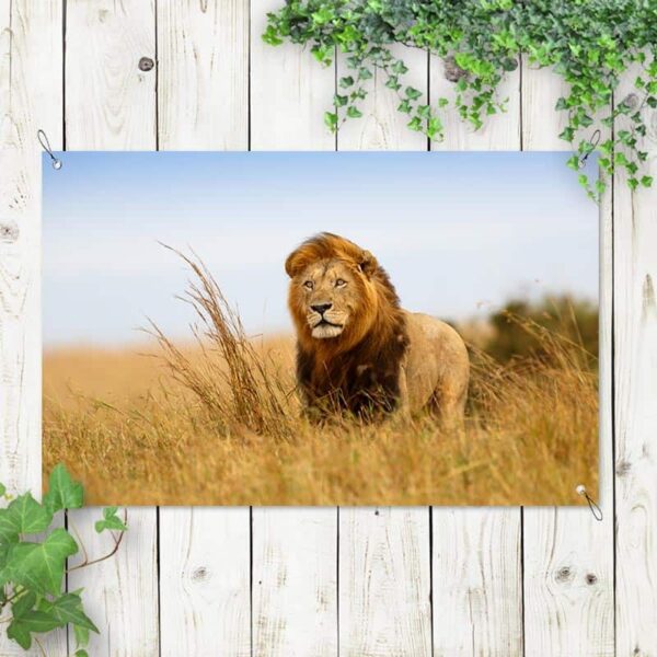 tuinposter leeuw in afrika