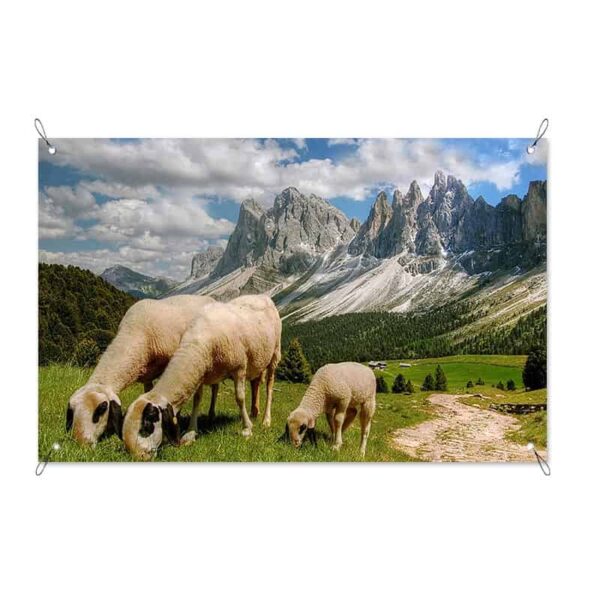 tuinposter schapen in de bergen