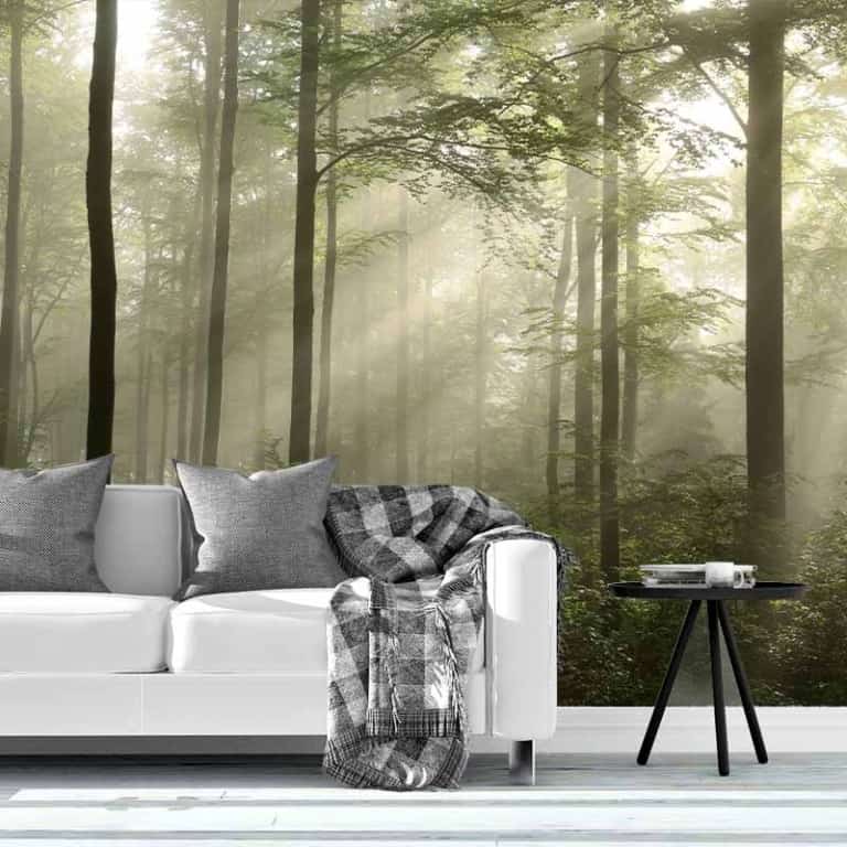 Fotobehang Ochtendnevel in beukenbos
