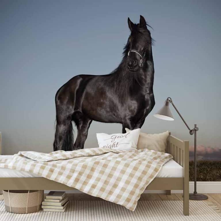 Fotobehang Fries paard in wei