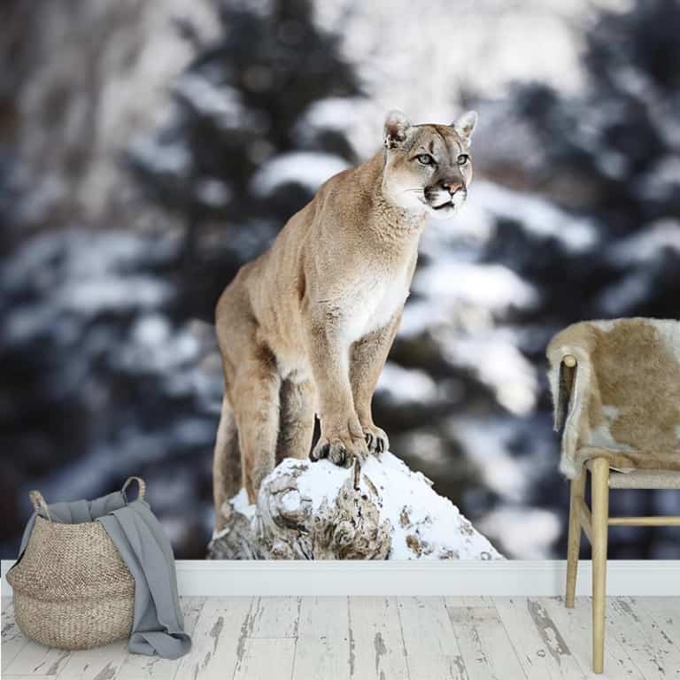 fotobehang poema op de uitkijk