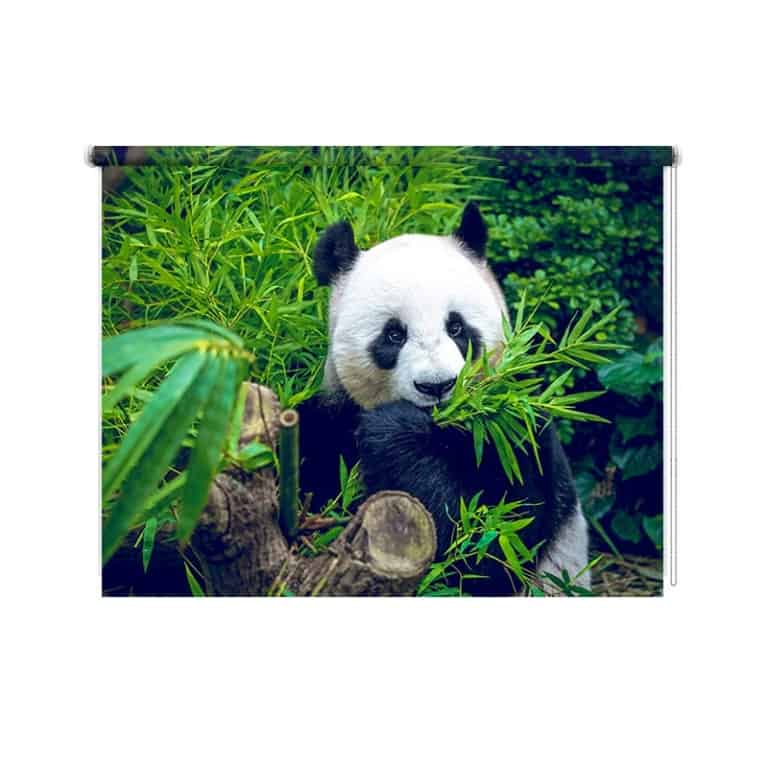 rolgordijn reuzenpanda