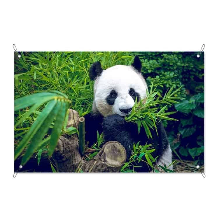 tuinposter reuzenpanda