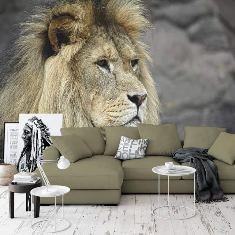 fotobehang Koning van de jungle