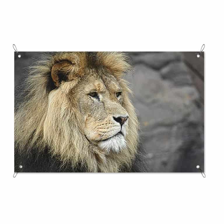 Tuinposter-Koning-van-de-jungle