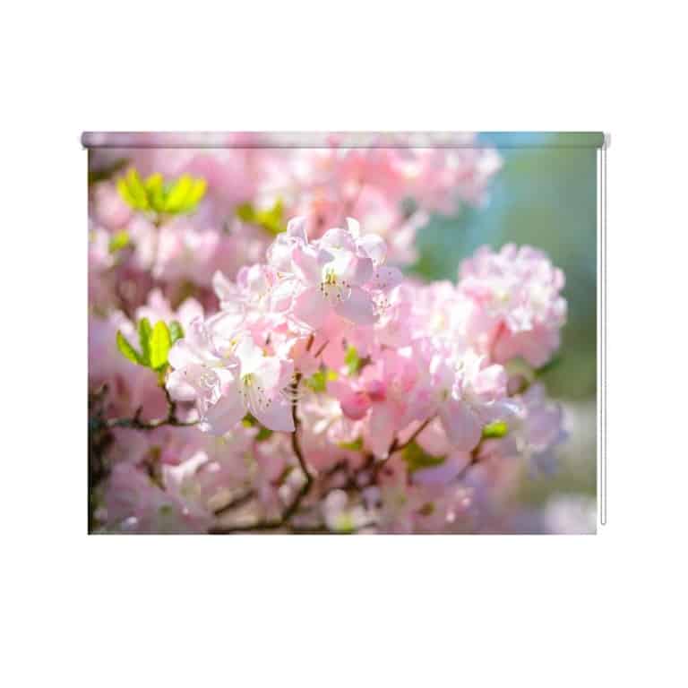 rolgordijn prunus bloesems