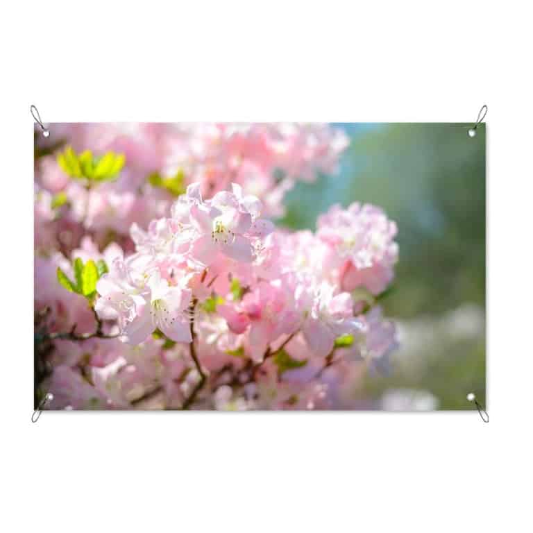tuinposter prunus bloesems