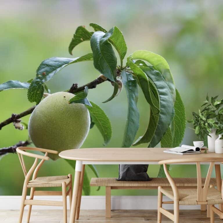 Fotobehang Citroen aan tak