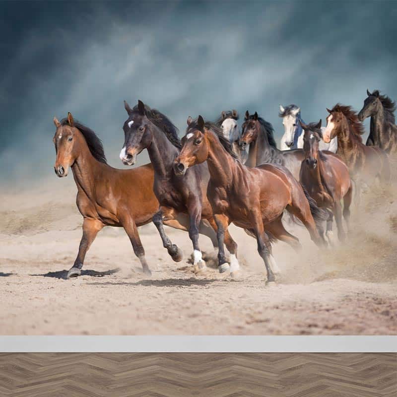 Beringstraat Triviaal Sprong Fotobehang Bruine paarden in galop Gratis drukproef. YouPri.nl