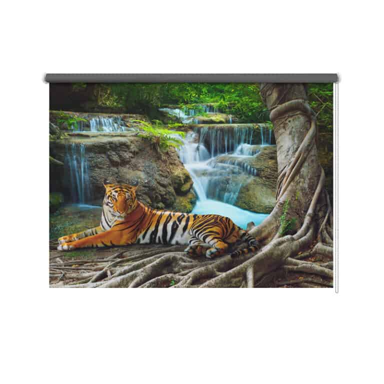 Rolgordijn Tijger bij waterval