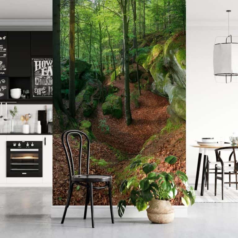 Fotobehang Kloof in bos