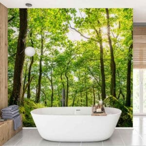 Badkamer behang Beukenbomen in zomerbos