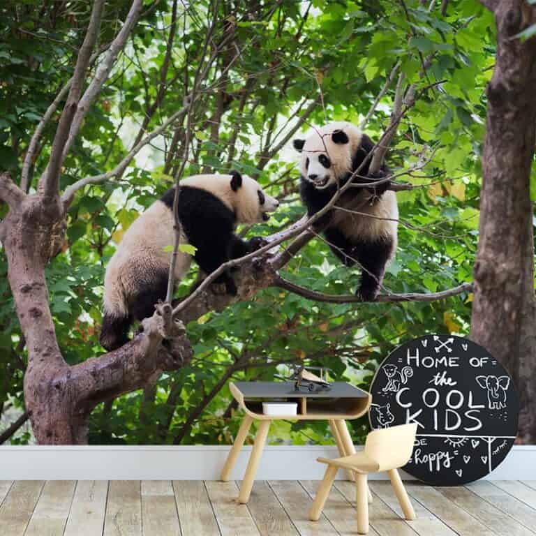 Fotobehang Spelende reuzenpanda's