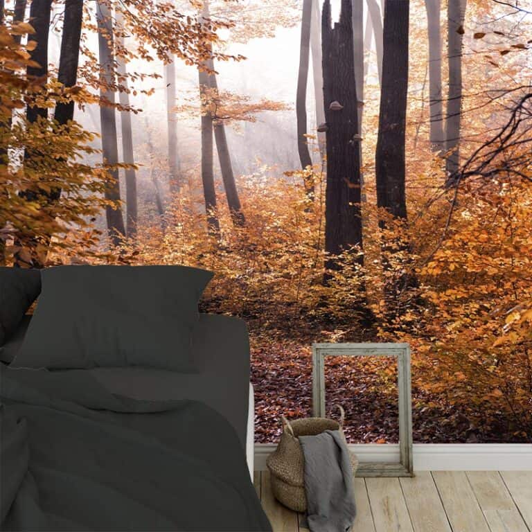 Fotobehang Herfst in het bos