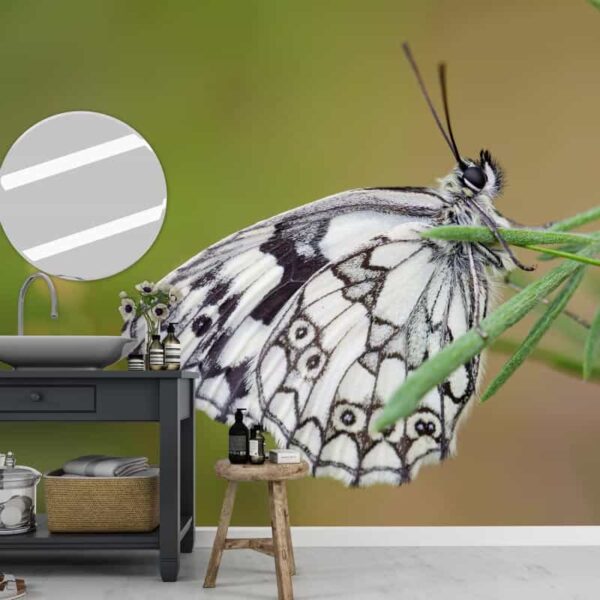 Fotobehang Vlinder op grasspriet