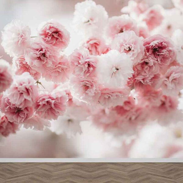 Fotobehang Sakura bloem