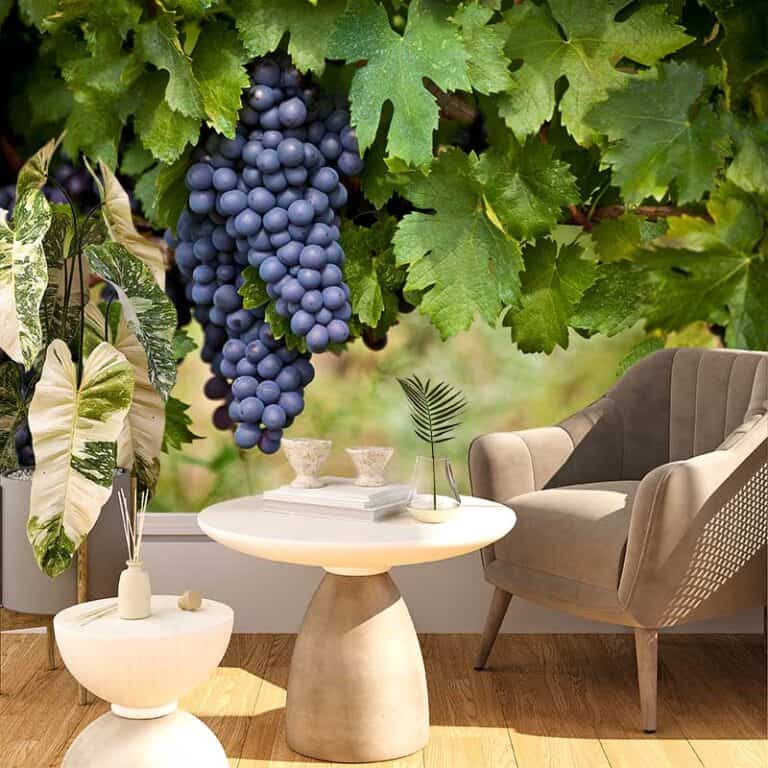 Fotobehang Druiven aan tak