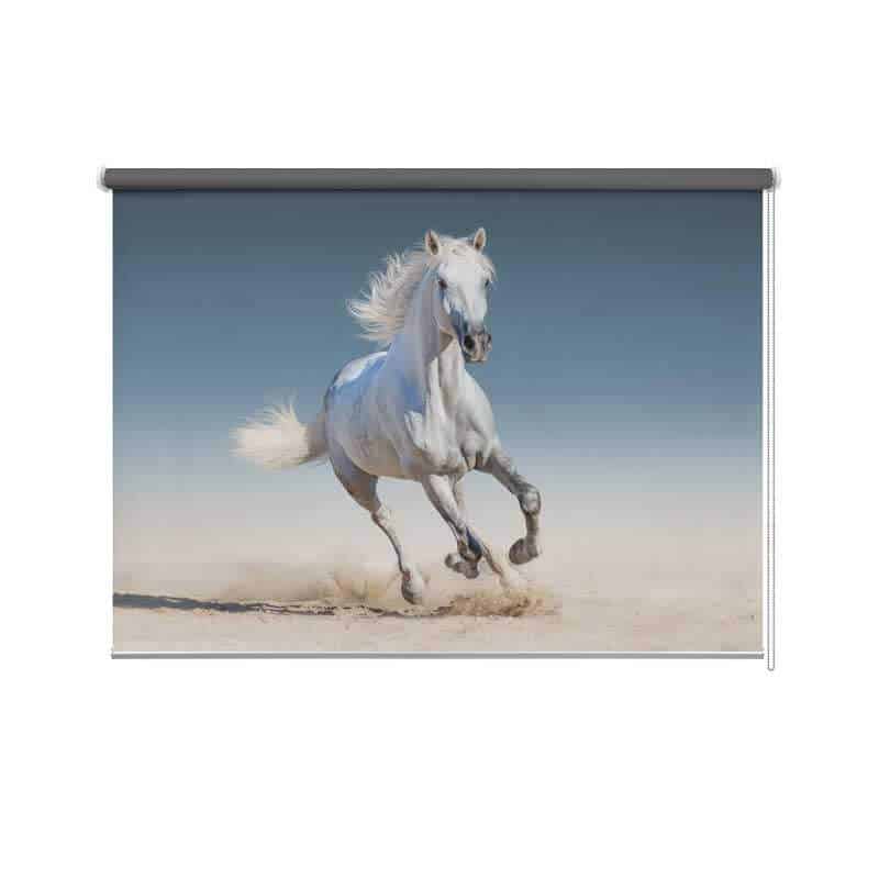 Rolgordijn wit paard in galop