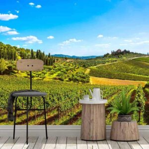 Fotobehang Uitzicht over wijnveld
