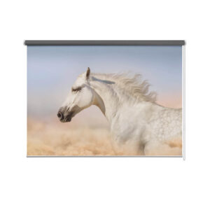 Rolgordijn Wit paard in woestijn
