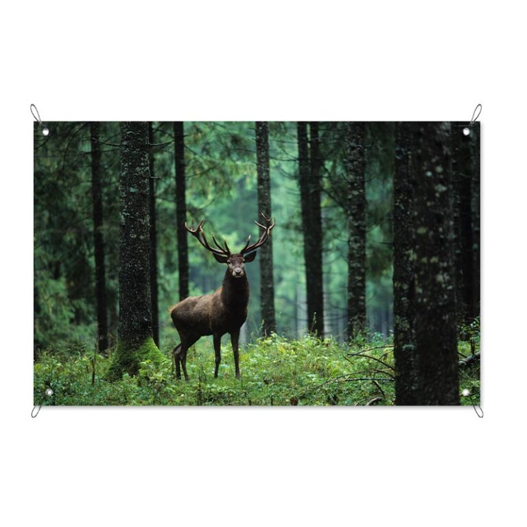 Tuinposter Damhert in bos
