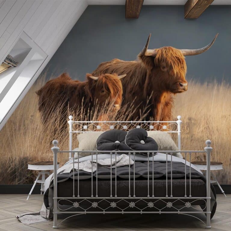 Behang op maat bestellen - Fotobehang op maat Schotse hooglander met kalf